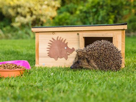 hedgehog shelter reviews